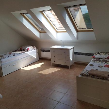 Apartment Koprivovi Němčičky エクステリア 写真
