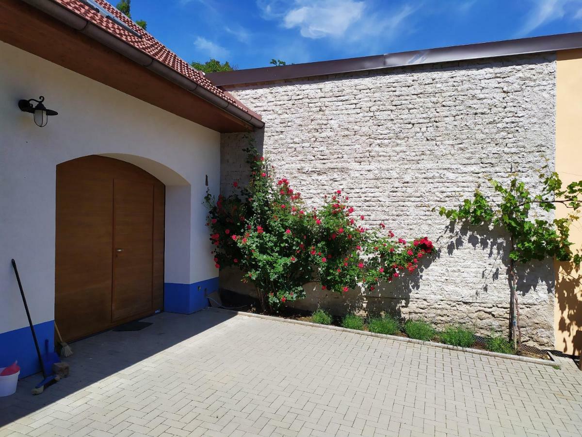 Apartment Koprivovi Němčičky エクステリア 写真