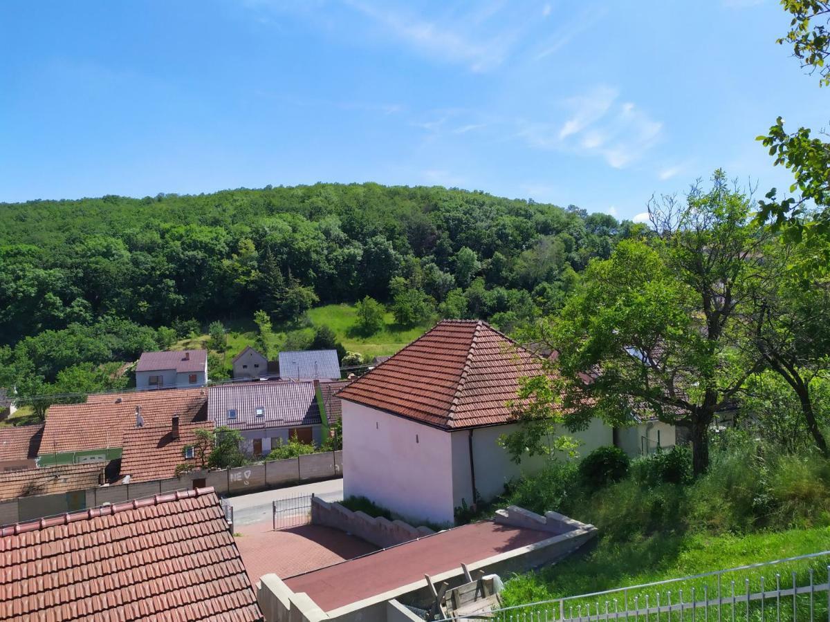 Apartment Koprivovi Němčičky エクステリア 写真